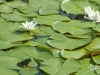 dscf0192