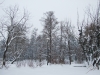 zima2012-2